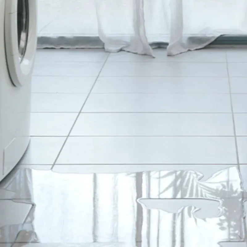 Appliance Leak Cleanup in Hampton, AR