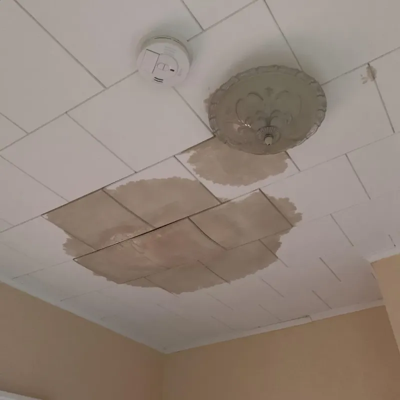 Ceiling Water Damage Repair in Hampton, AR