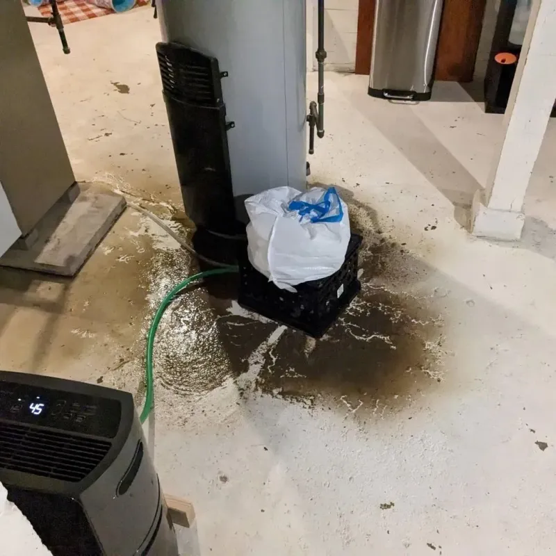Sewage Backup Cleanup Service in Hampton, AR